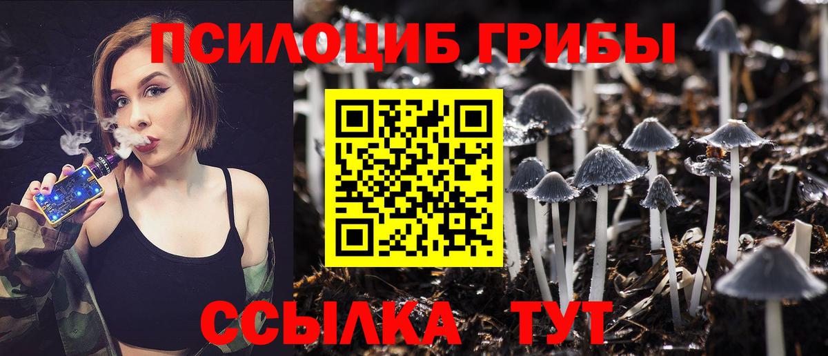 Галлюциногенные грибы Psilocybe Ростов Великий